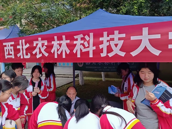 张波老师认真咨询中 .jpg